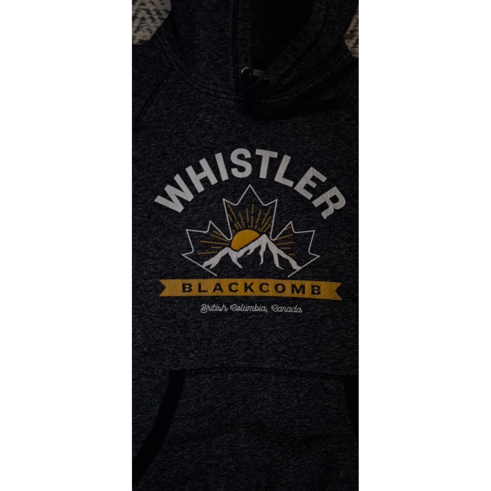 Roots Canada Whistler Blackcomb Hoodie Charcoal Grey Graphic Sweatshirt Small - Picture 9 of 14